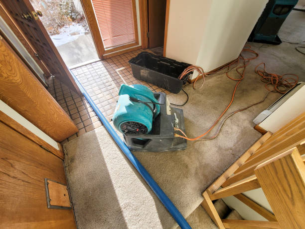 Best Flood restoration services  in Lwa, CA
