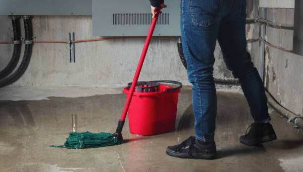Best Flooded house restoration  in Lwa, CA
