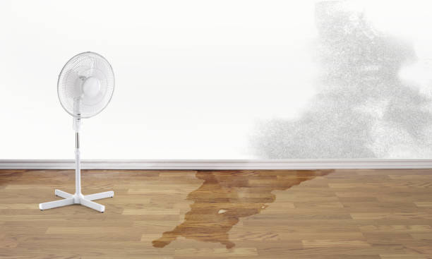 Best Emergency water damage restoration  in Lwa, CA