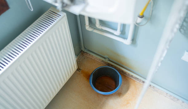 Best Water damage mitigation services  in Lwa, CA