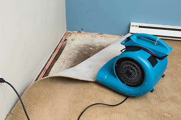 Best Fire Damage Restoration  in Lwa, CA